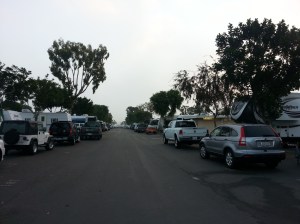 Sites in the middle of the park, without views.