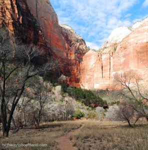 A trail in Zion National Park -