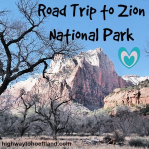 Beauty in Zion National Park - Cover