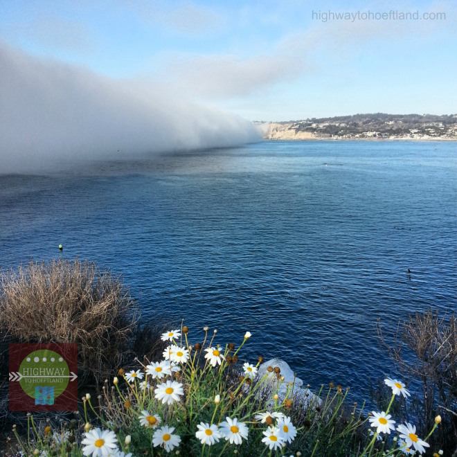 Fog in La Jolla barreling towards the shore.