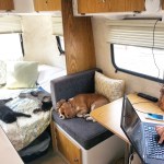 Sharing the Casita with two cats, our dog, and my husband. 